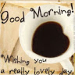 Meet your Posher, Chica